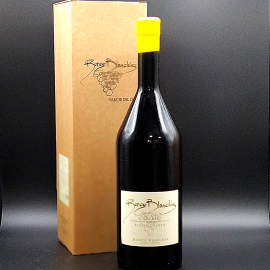 Collio D.O.C. Pinot Grigio 2019 Magnum